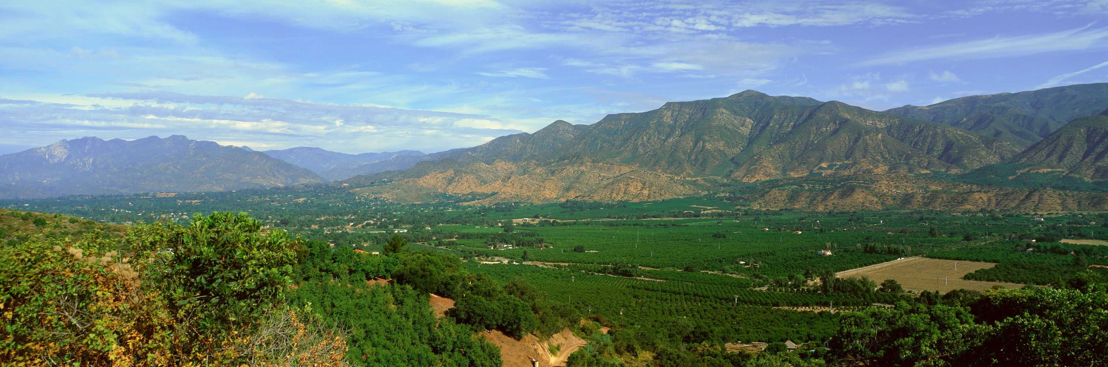A mountainous landscape with vineyards and fields.