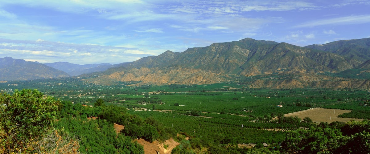 A mountainous landscape with vineyards and fields.