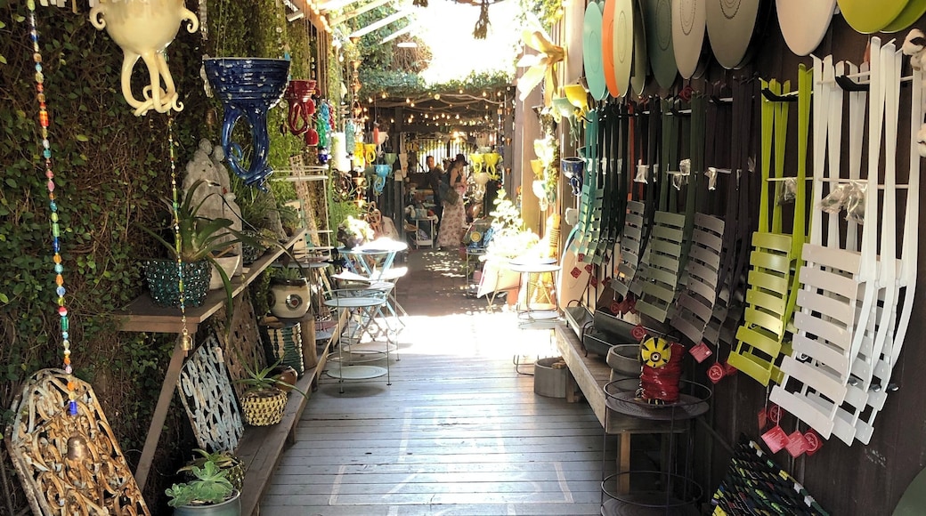 Found this hidden gem walking along the promenade in Ojai. Treasures abound, can’t wait to explore it again!
#OnTheRoad