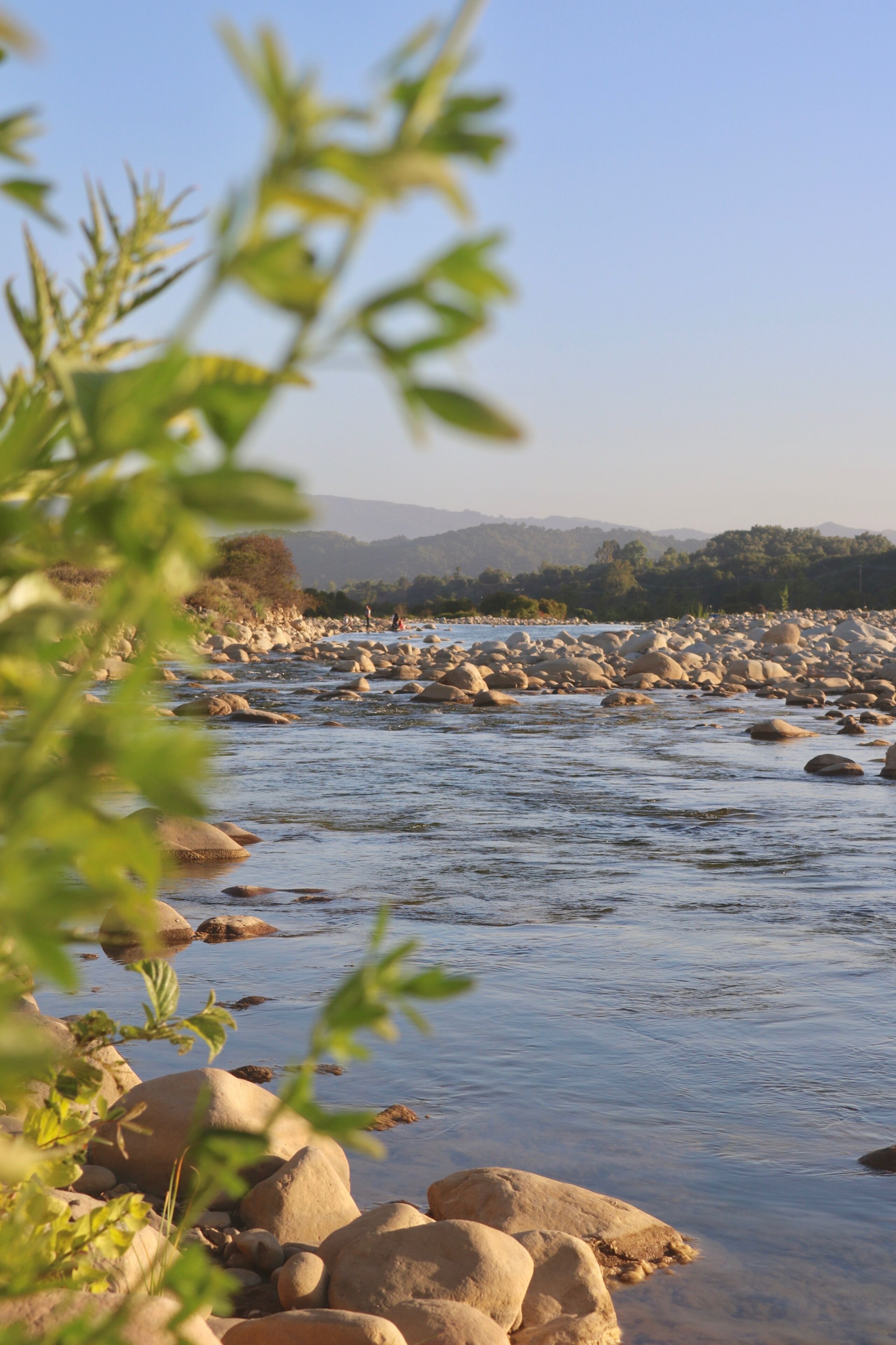 Ojai
