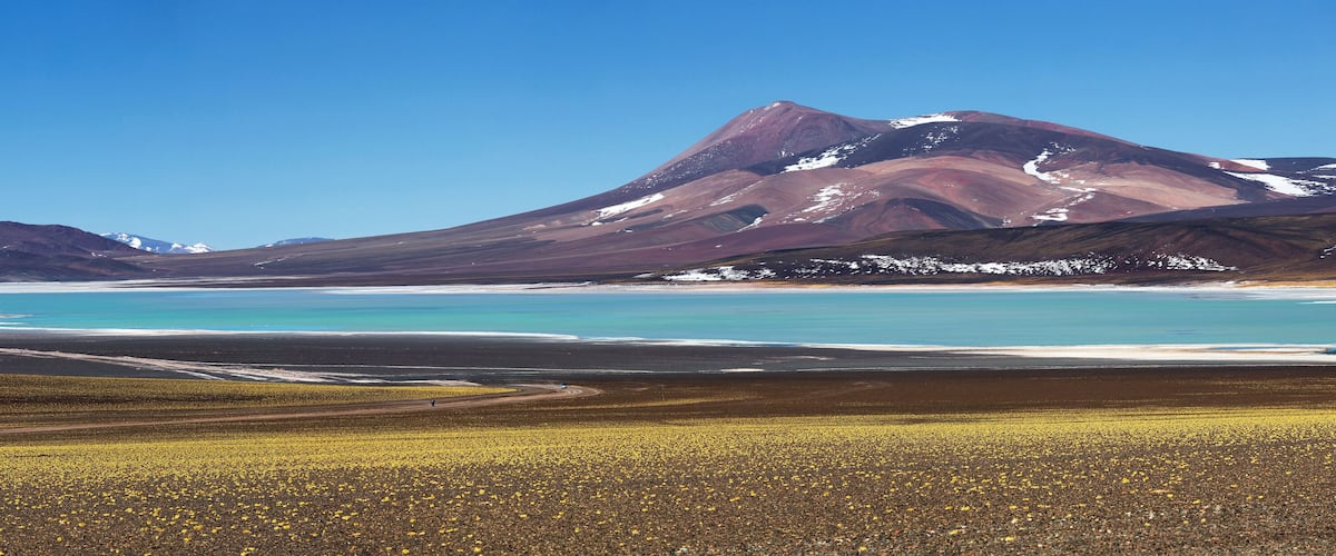 A mountainous landscape with a clear blue sky, a large body of water, and a field of yellow flowers.
