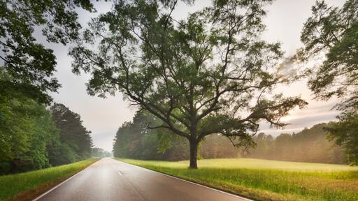 Natchez Trace Parkway, Tennessee and Mississippi, USA