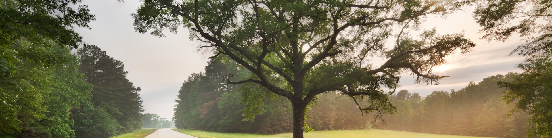 Natchez Trace Parkway, Tennessee and Mississippi, USA