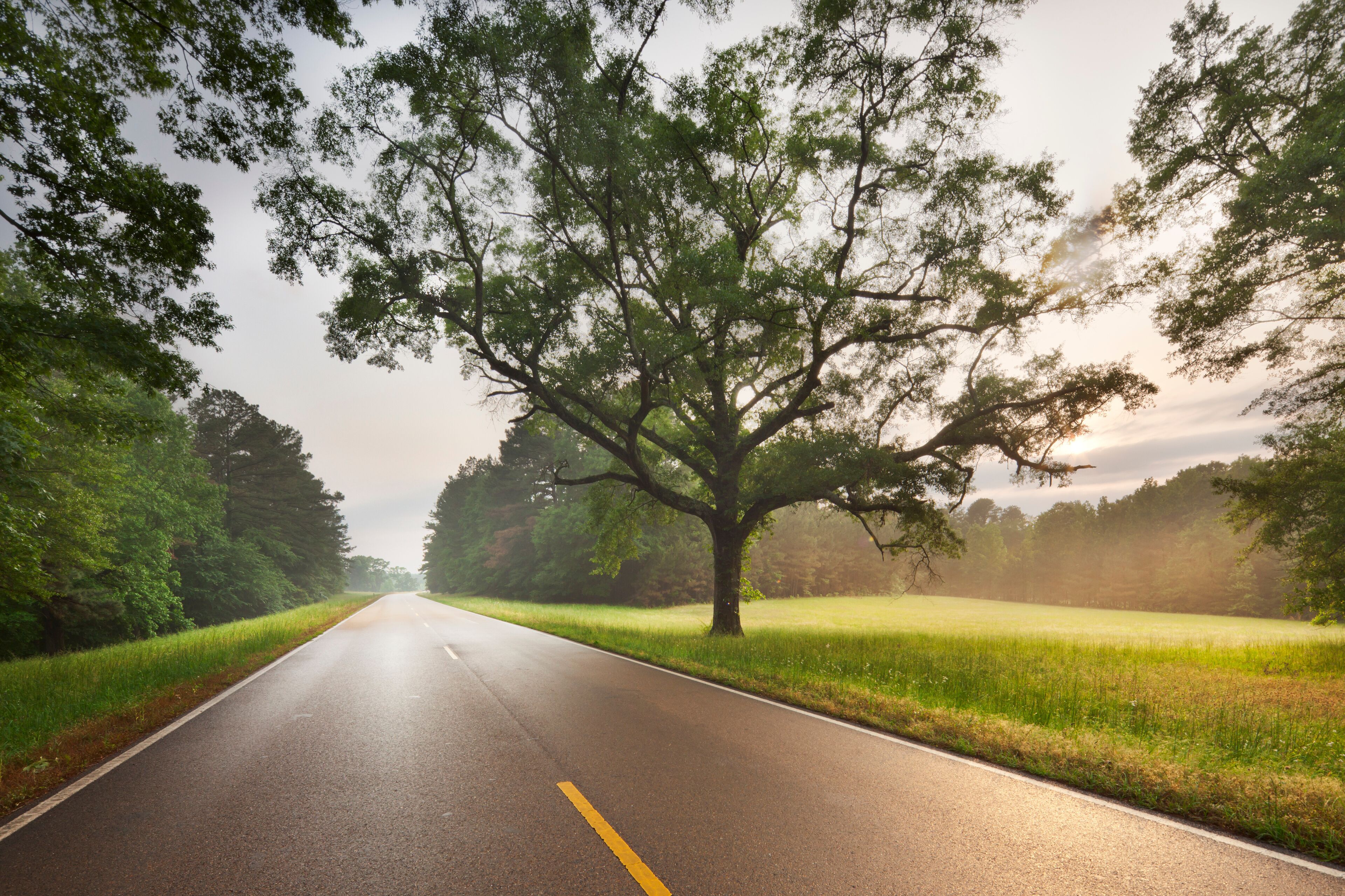 Natchez Trace Parkway, Tennessee and Mississippi, USA