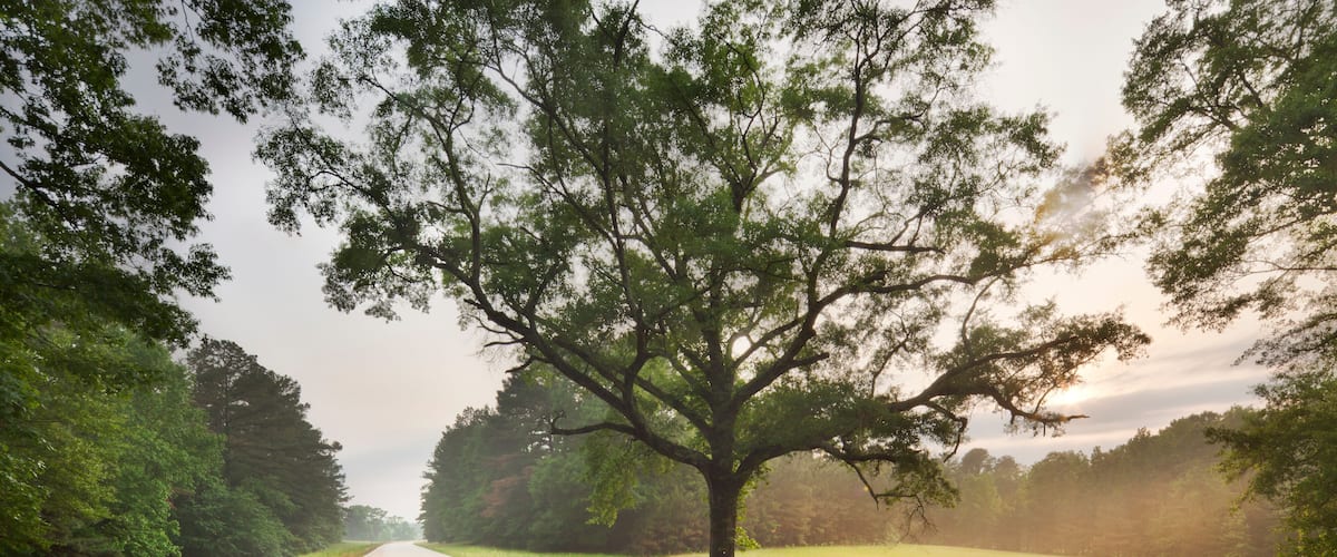 Natchez Trace Parkway, Tennessee and Mississippi, USA