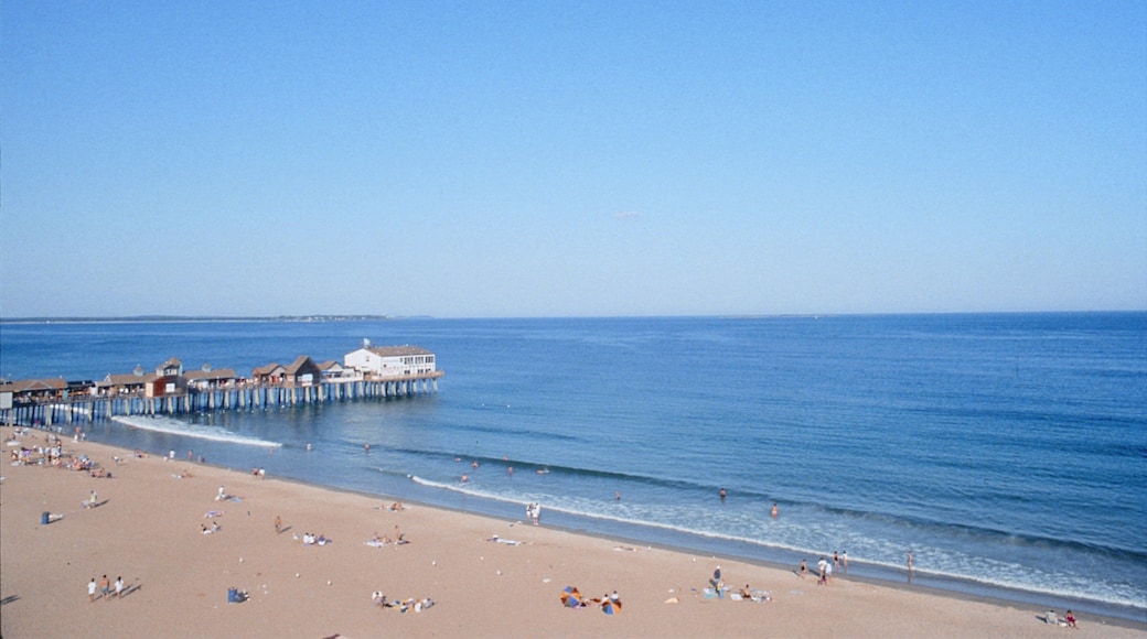 オールド オーチャード ビーチ 表示 ビーチ と 自然の風景