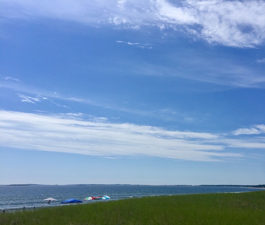 Walking on the boardwalk over the dune grass to Ocean Park Beach.