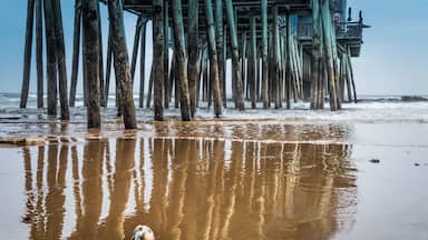 Old Orchard Beach