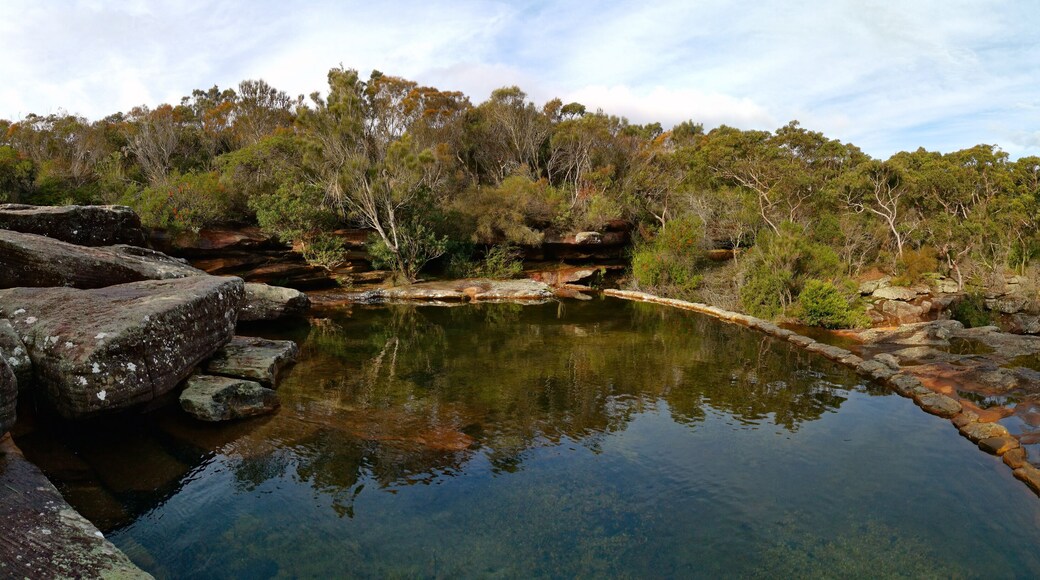 Sentiero Escursionistico Christopher Robinson