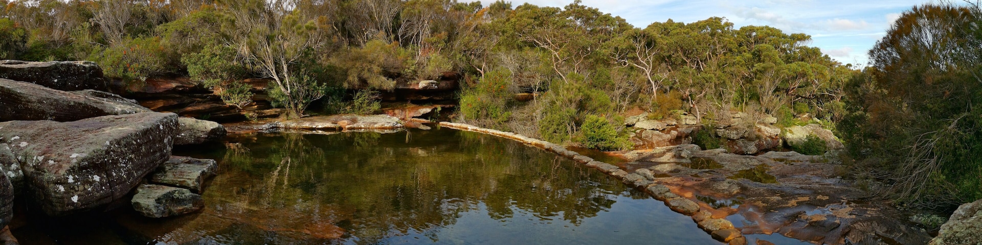 A natural pool surrounded by rocky terrain and dense eucalyptus trees.