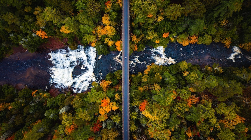 An aerial view of a forest with a river, featuring autumn foliage and a bridge.