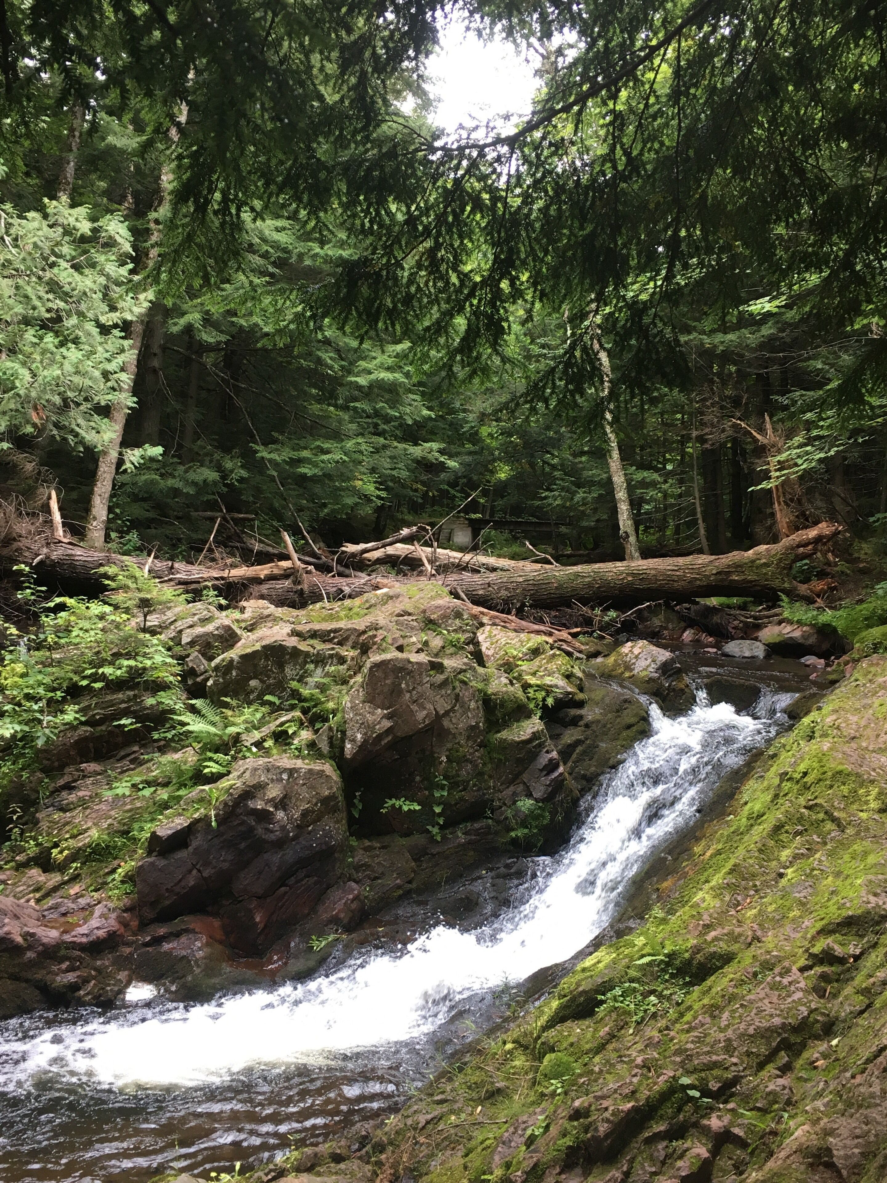 Hiking Porcupine Wilderness State Park- Michigan #adventure #adventurephotocontest