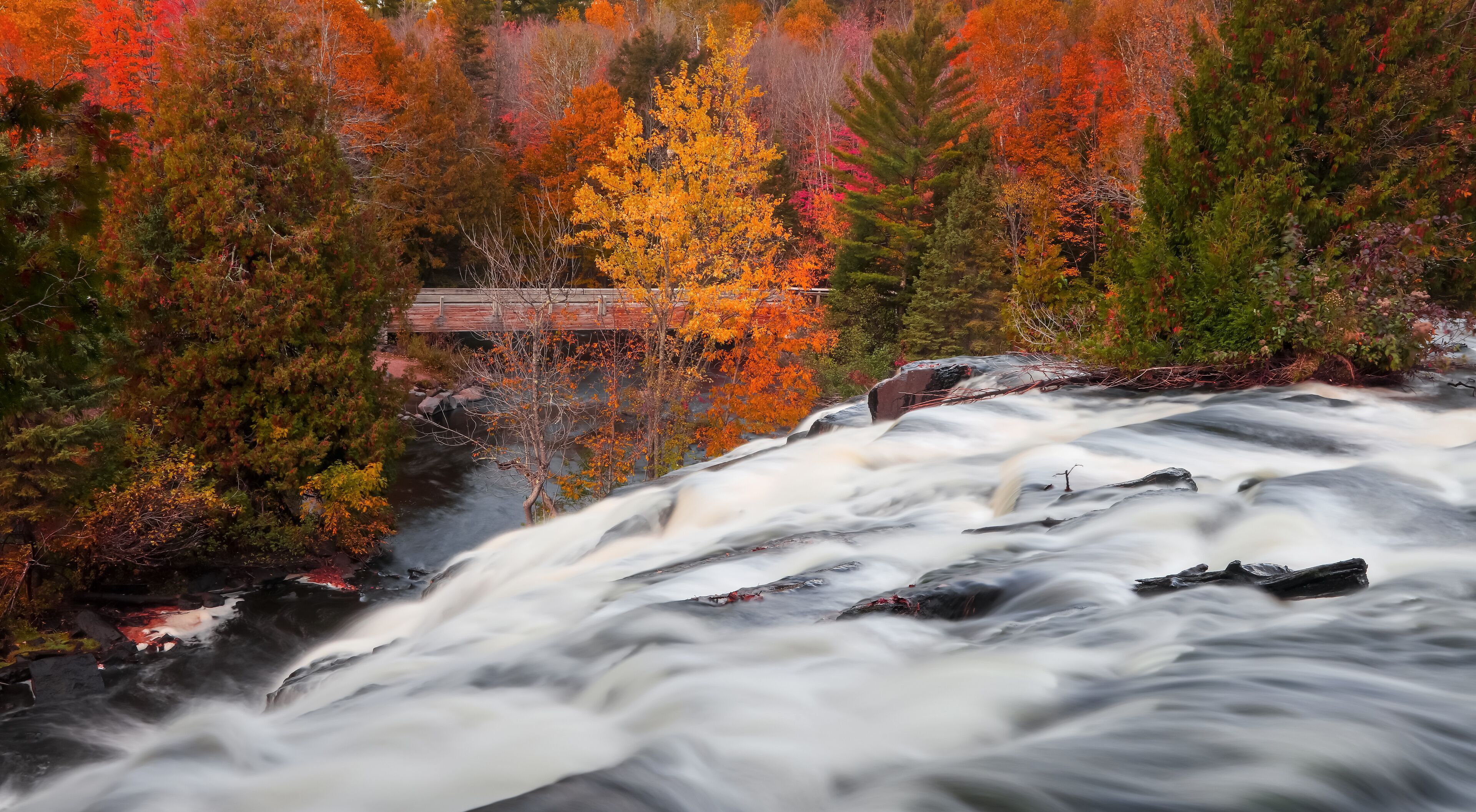 A waterfall surrounded by autumn-colored trees.