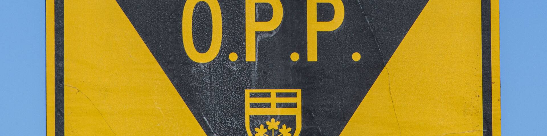 Red-tailed Hawk on OPP sign