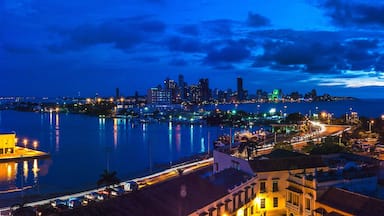 A coastal cityscape at night with a prominent cathedral and a modern skyline.
