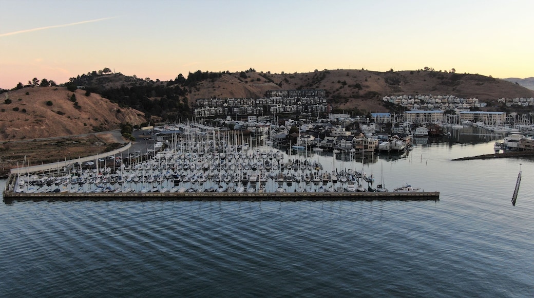 A marina with numerous boats docked, surrounded by hills and residential buildings.