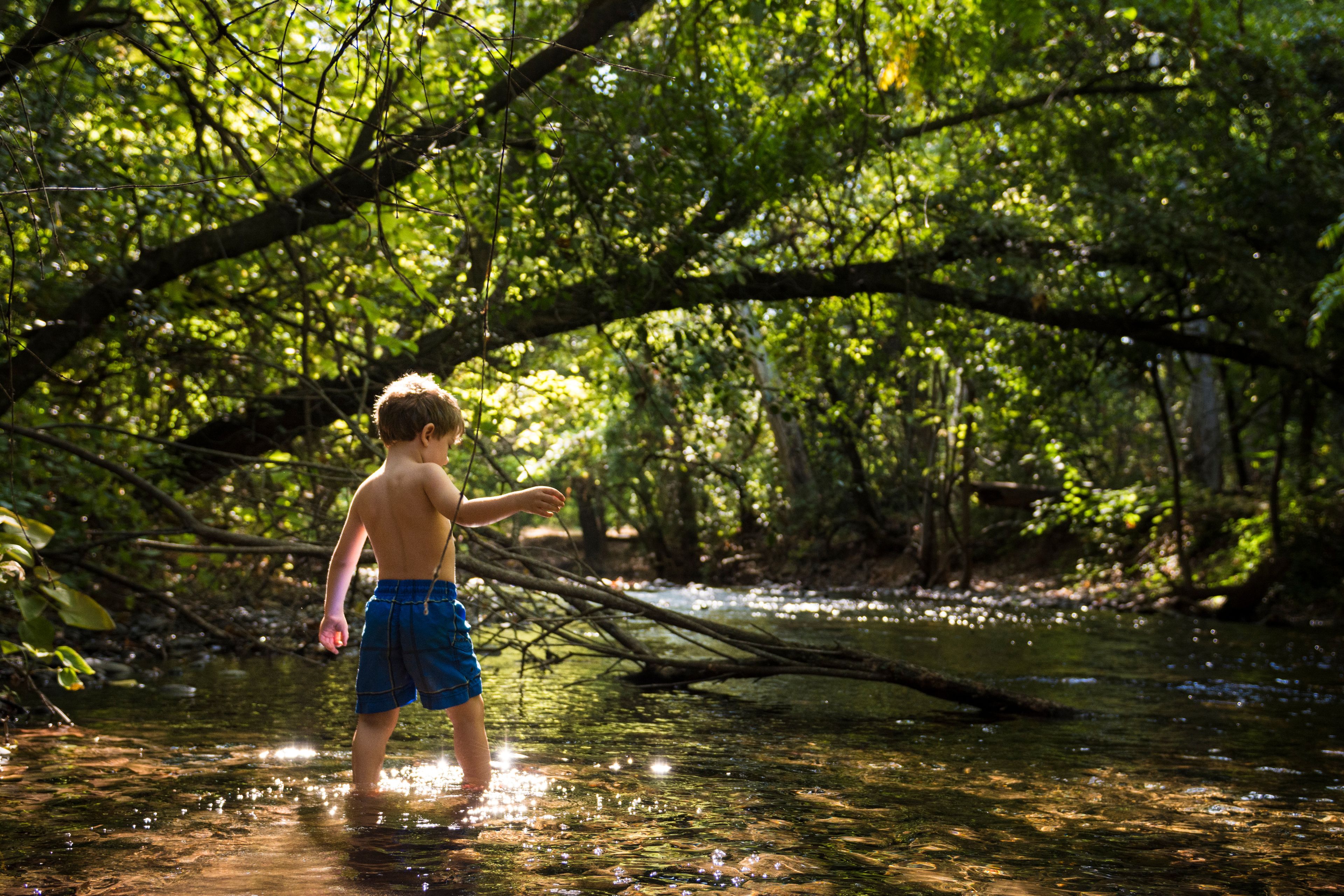 A child standing in a shallow stream surrounded by dense green foliage.