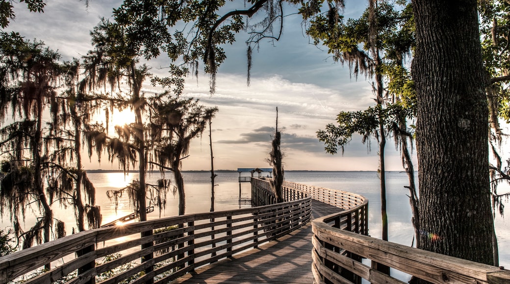 Jacksonville, FL: The entrance to the pier in Alpine Grove Park
