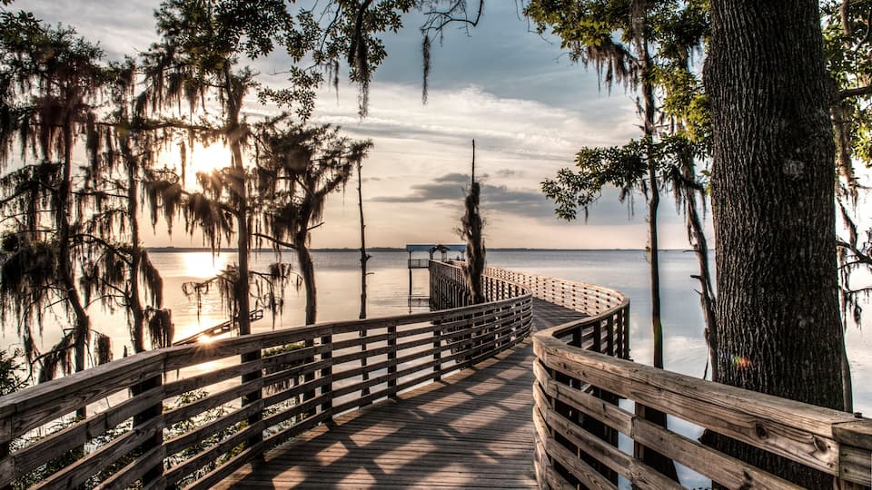 A wooden pier with railings, surrounded by trees with Spanish moss, leading to a calm body of water.