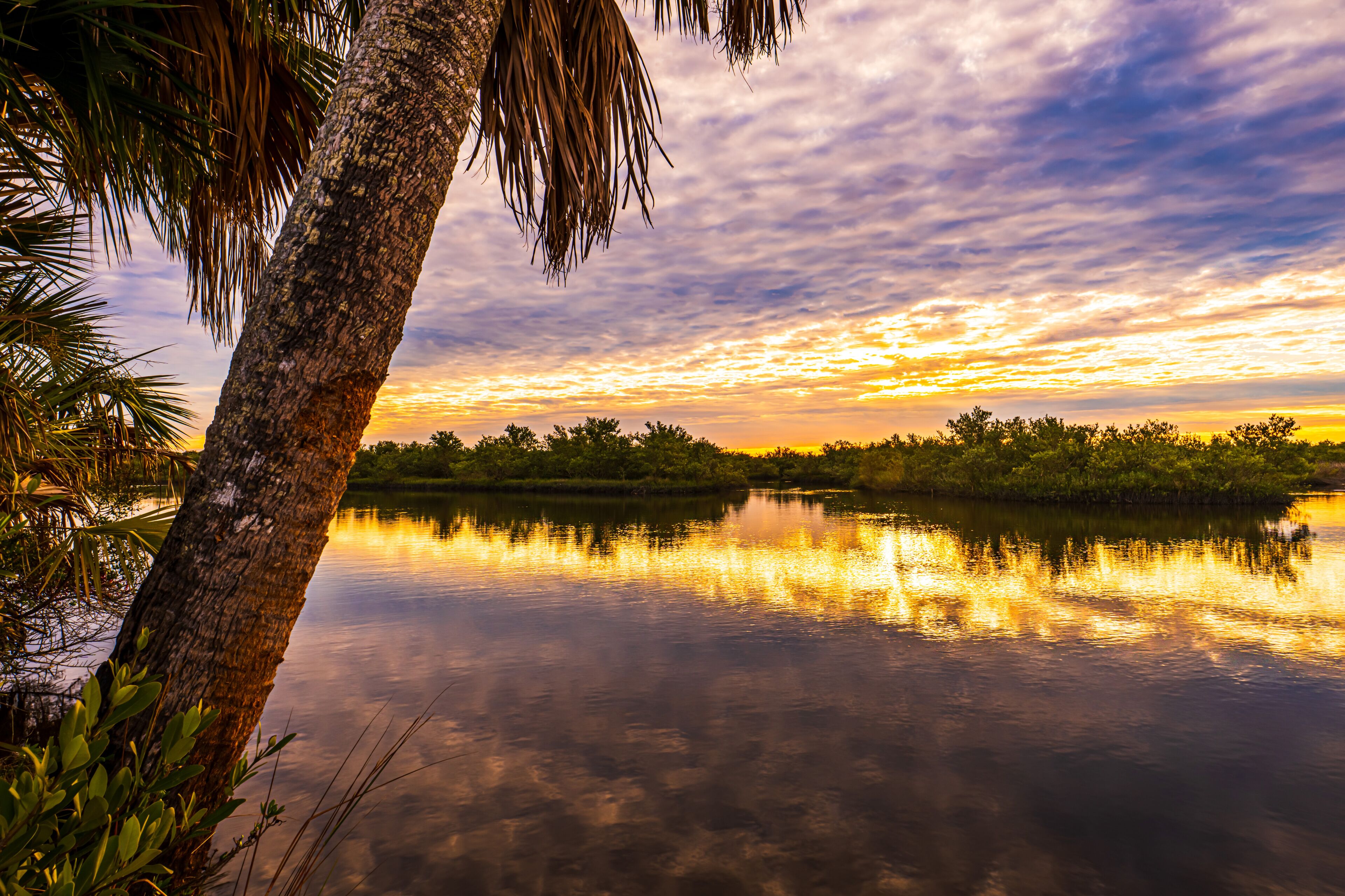 Sunrise from a waterfront park in Florida
