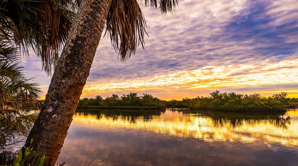 Sunrise from a waterfront park in Florida