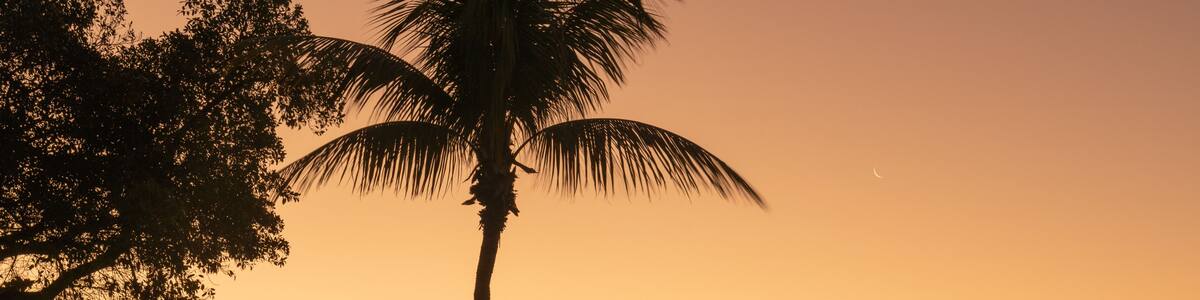 sunset in the park bench views sky orange clouds sunrise miami florida palm