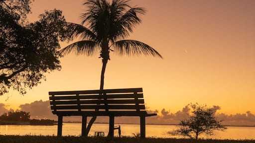 sunset in the park bench views sky orange clouds sunrise miami florida palm