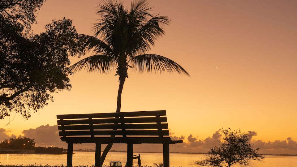 A bench by a body of water at sunset.