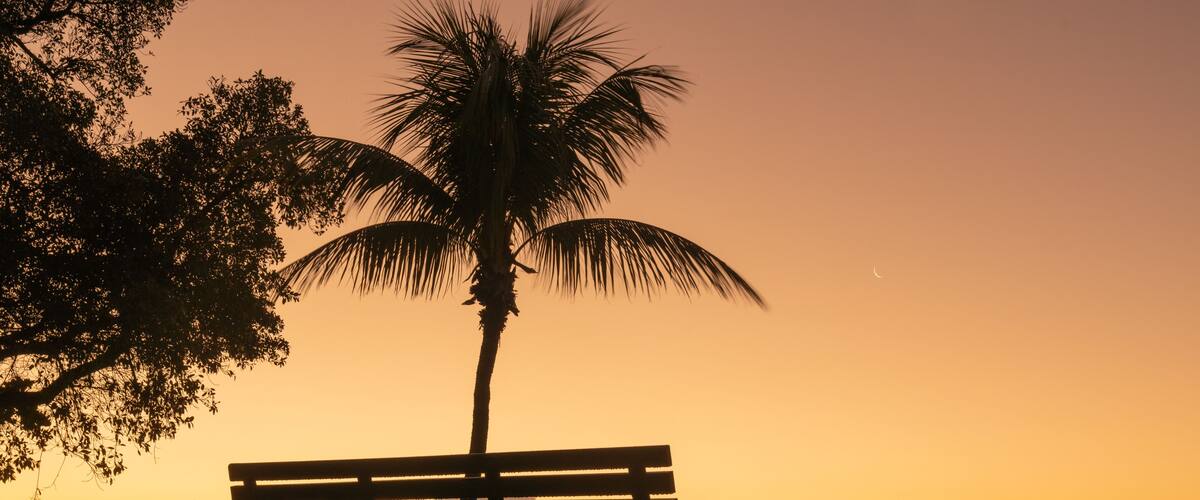 sunset in the park bench views sky orange clouds sunrise miami florida palm