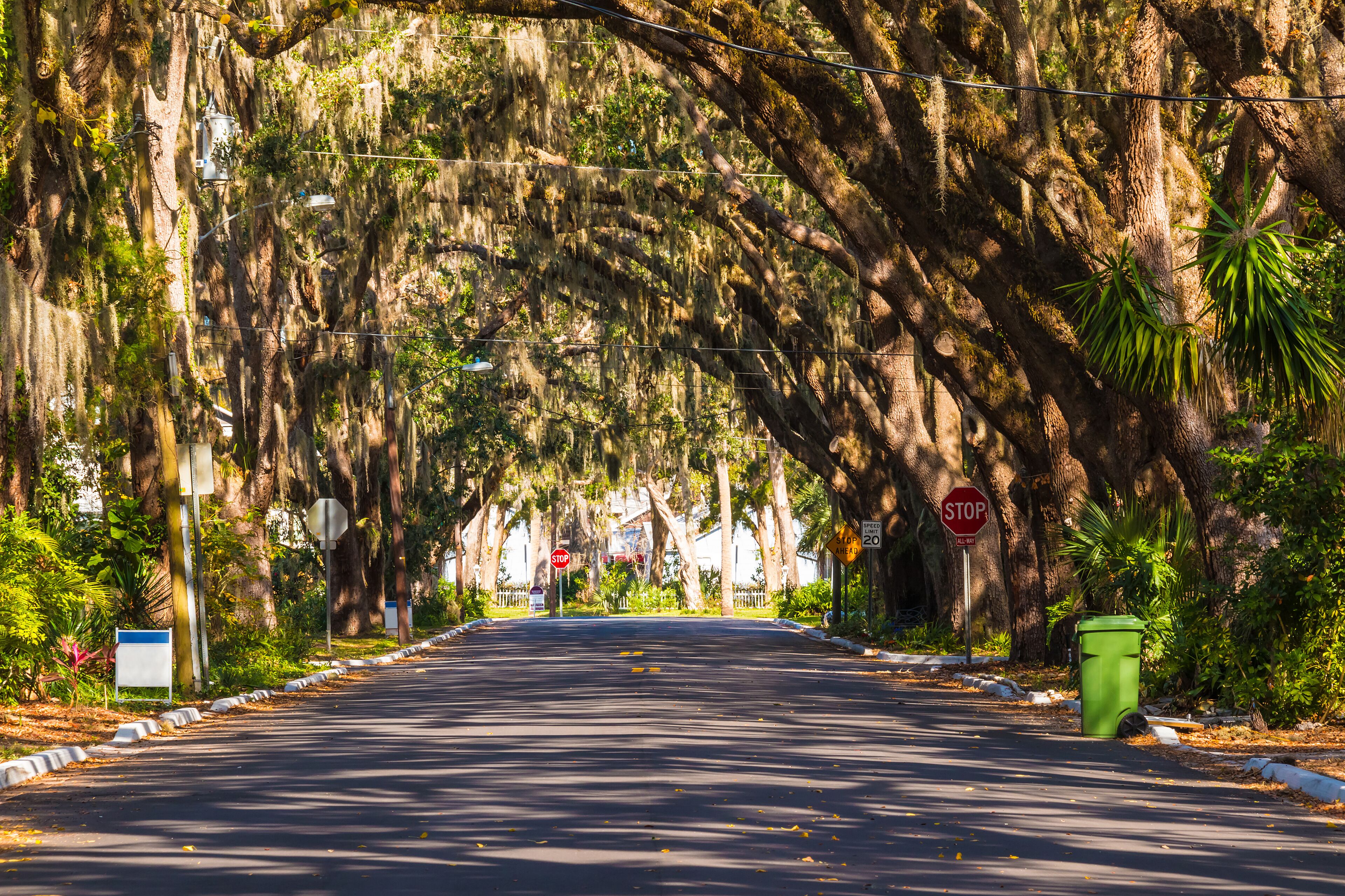 View of Magnolia Ave in Saint Augustine in sunny day, Florida, USA