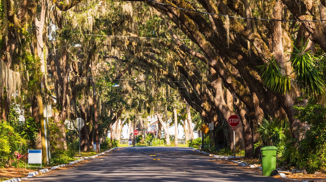 View of Magnolia Ave in Saint Augustine in sunny day, Florida, USA