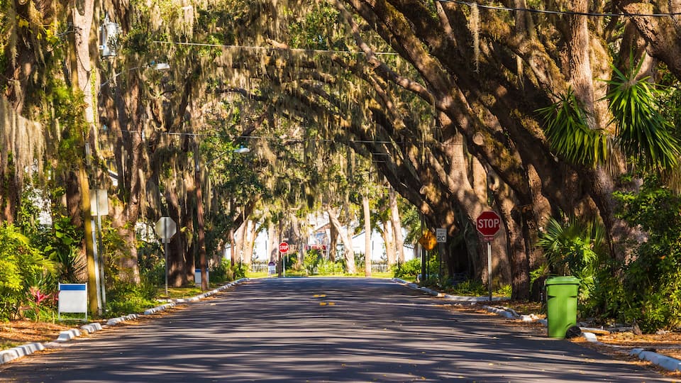 A tree-lined street with a stop sign and a green trash can.