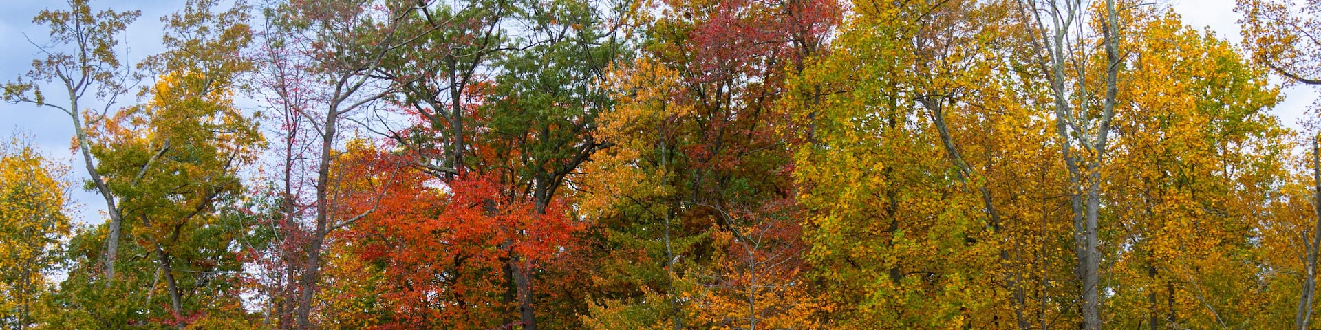 2023 10 22 Orangeburg NY 006