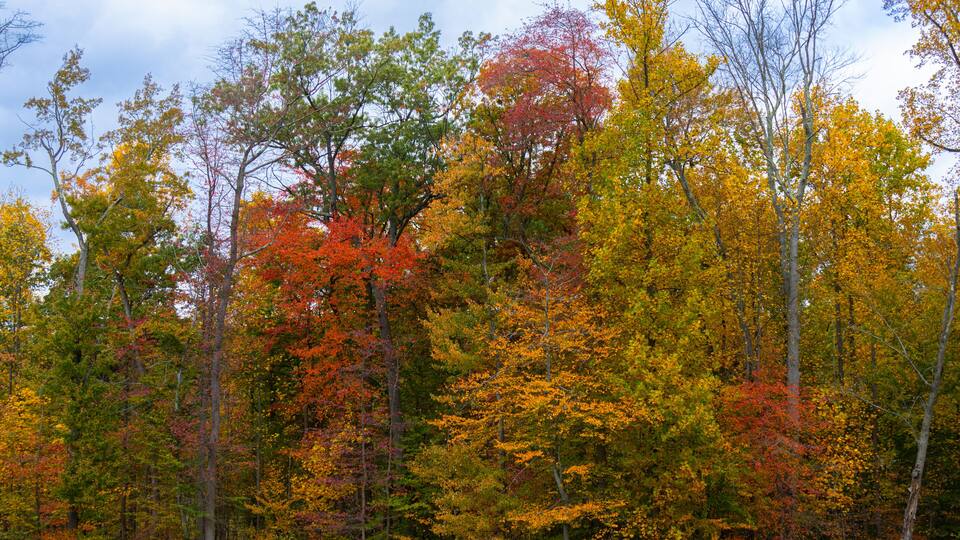 2023 10 22 Orangeburg NY 006