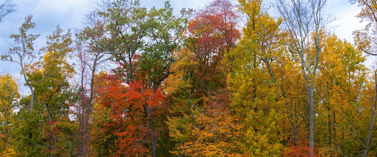 2023 10 22 Orangeburg NY 006