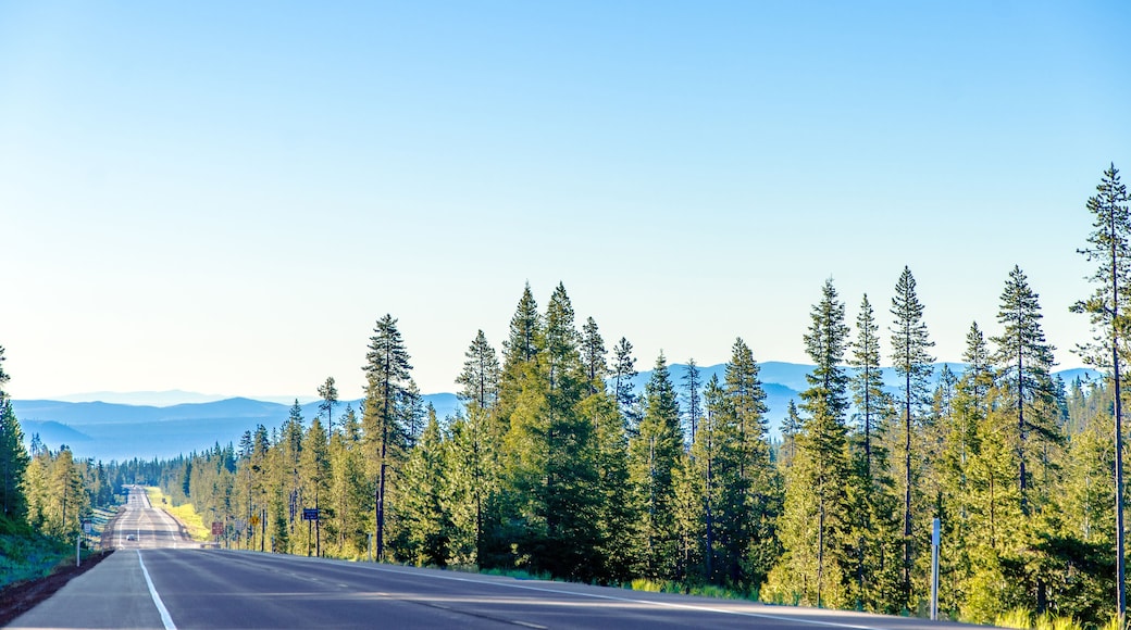 Long scenic highway passing through a lush green forest with blue hills in the background near Bend, Oregon
