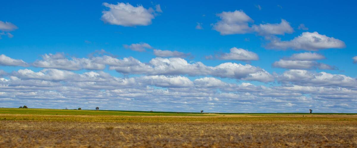 A vast field with scattered trees under a blue sky with clouds.