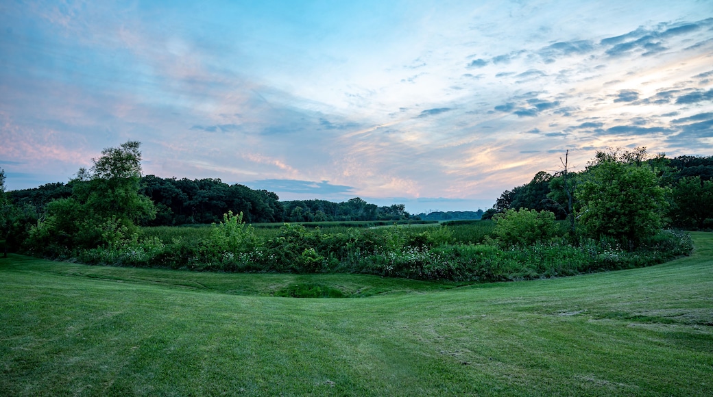 McGinnis Slough (Orland Grove Nature Preserve) at Twilight