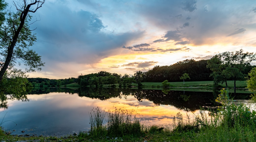 Reflection on Lake at Dusk at Turtlehead Lake Nature Preserve in Orland Park, IL (Suburban Chicago)