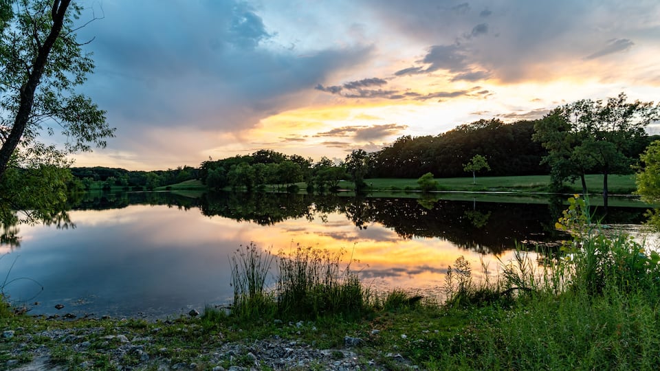 A calm lake reflecting the sky, surrounded by trees and grassy areas.