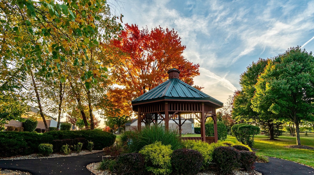 Beautiful Fall Colors on Trees Along a Walking Path in a Neighborhood