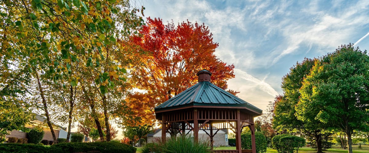 Beautiful Fall Colors on Trees Along a Walking Path in a Neighborhood