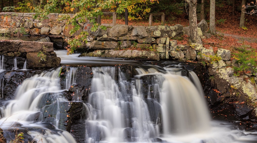 Small waterfall over a stone dam surrounded by autumn foliage
