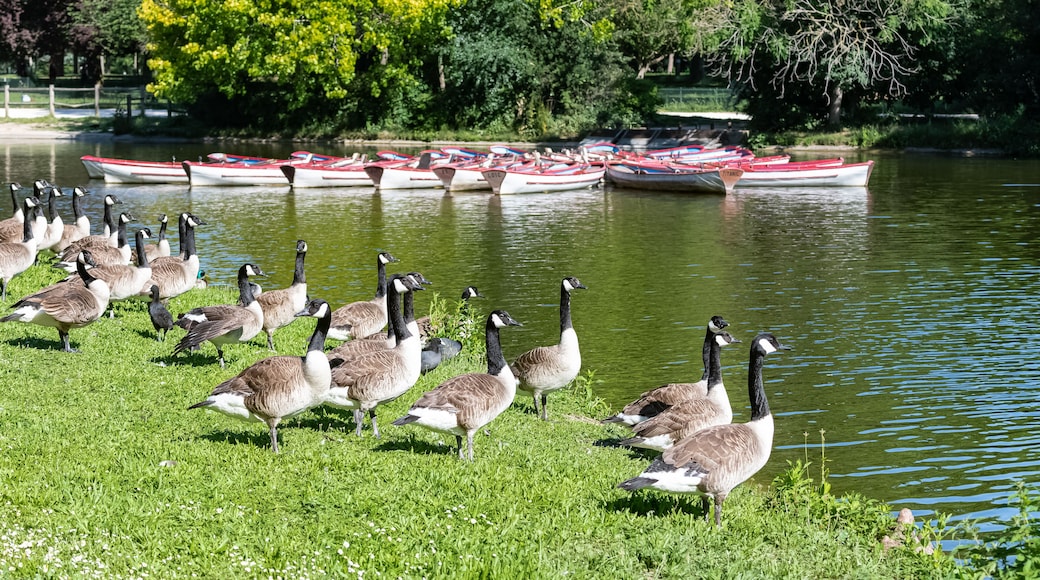 Vincennes Parks & Recreation