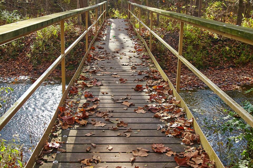 Eine Holzbrücke mit Metallgeländer, umgeben von Bäumen und herabgefallenen Blättern.