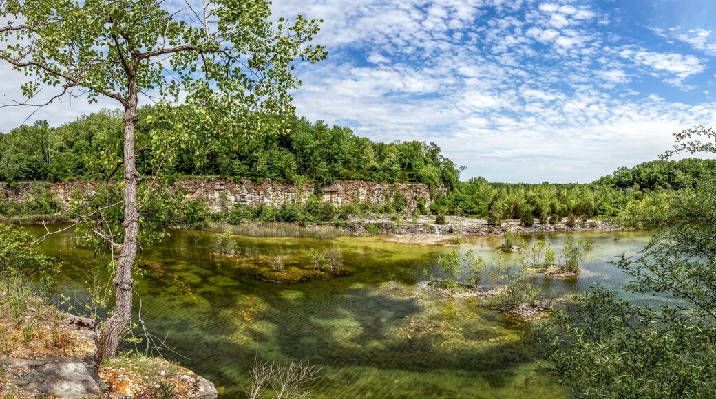 Once an active limestone quarry near Greencastle, Indiana, the site is now the DePauw Nature Park. This photograph was taken in Spring from the rim of the excavated quarry cliffs.