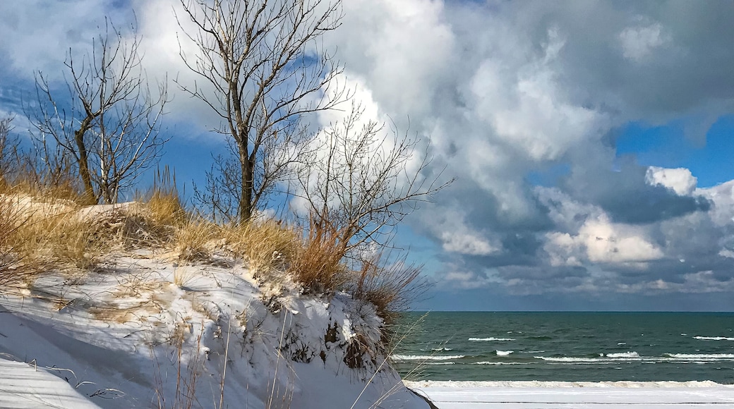 Chikaming Township Park and Preserve