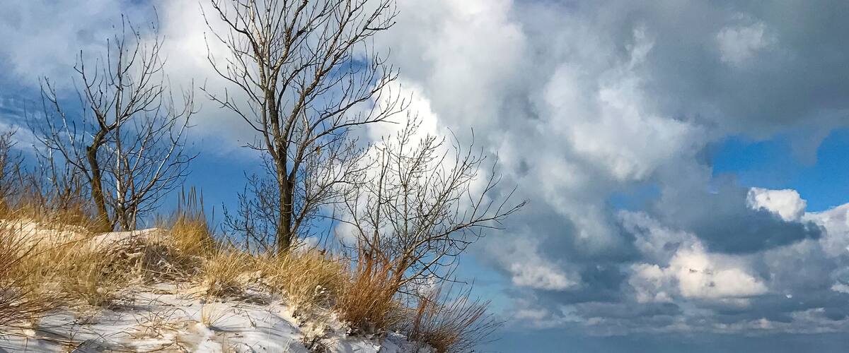 723-02 Lake Michigan Winter Shore