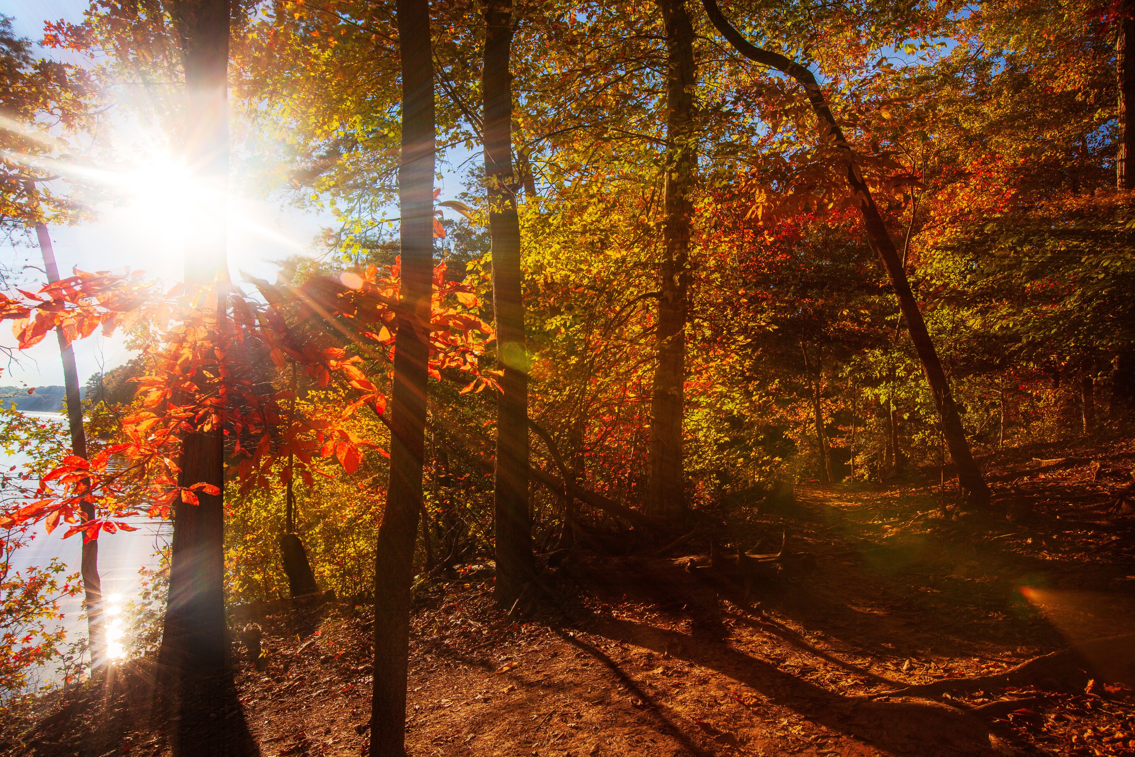 A scenic autumn sunset view of Lake Norman in North Carolina.