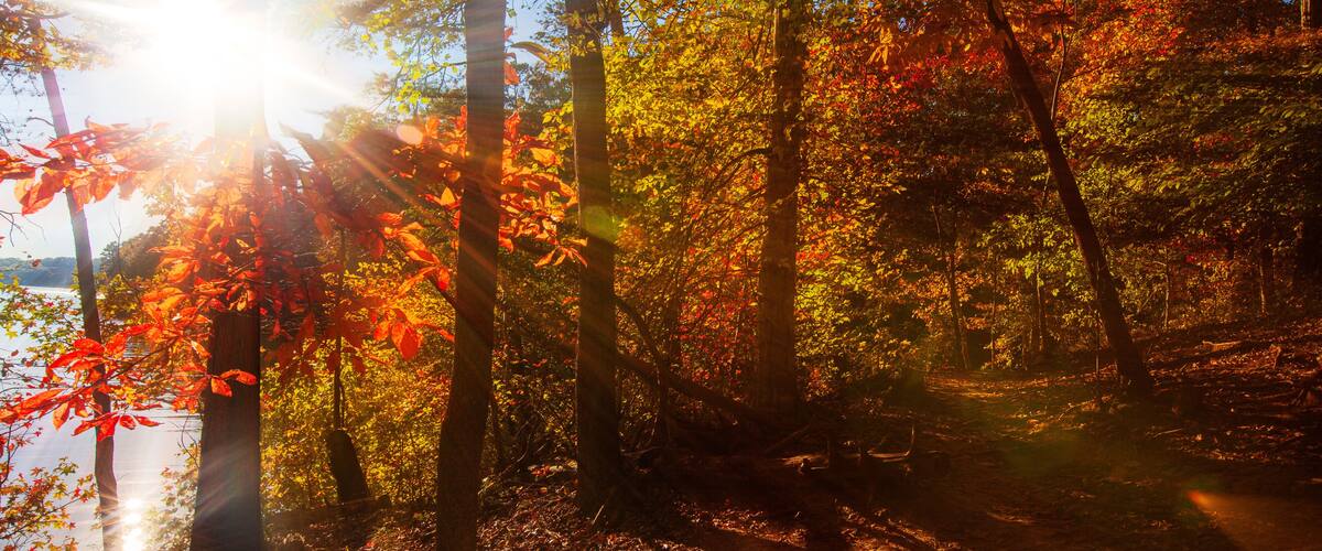 A scenic autumn sunset view of Lake Norman in North Carolina.
